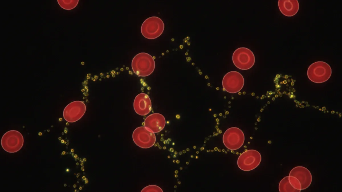 Artículo Par Biomagnético: Pleomorfismo microbiano: Cómo las bacterias mutan según el pH del terreno